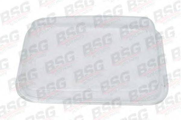 BSG 60-801-006 Розсіювач, основна фара