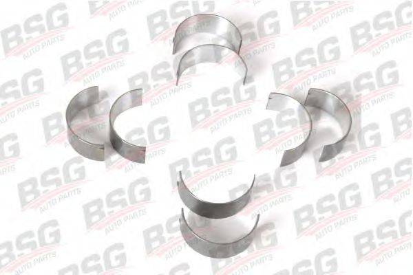 BSG 30-121-001 Шатунний підшипник