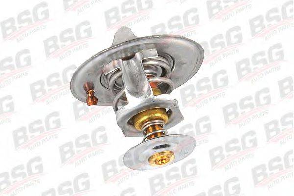 BSG BSG 30-125-005
