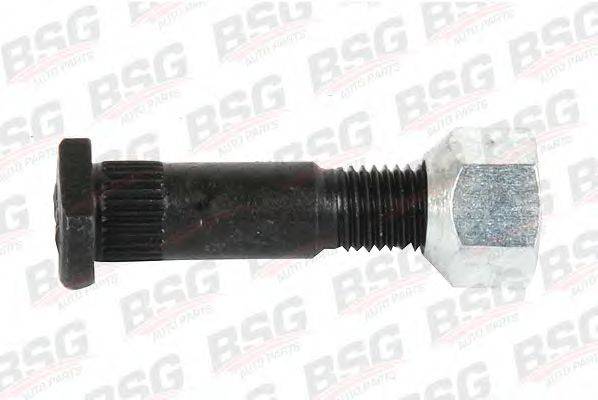 BSG BSG 30-230-004