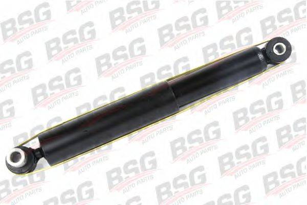 BSG BSG 30-300-010