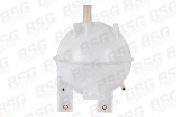 BSG BSG 30-550-001