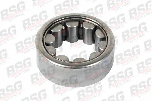 BSG BSG 30-605-017