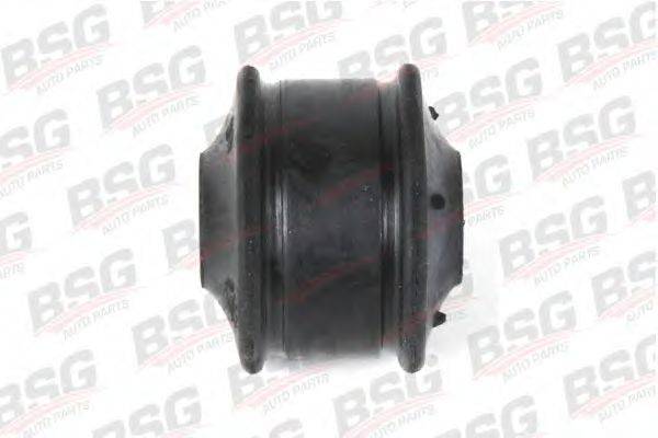 BSG BSG 30-700-019