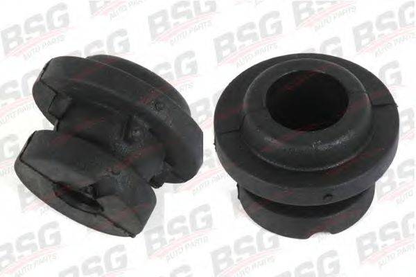 BSG BSG 30-700-110