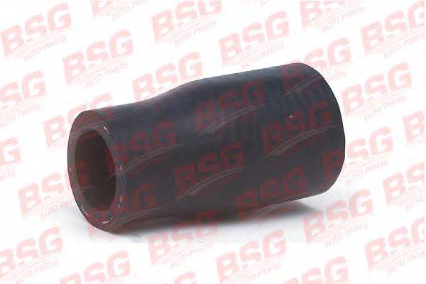 BSG 30-720-018 Шланг