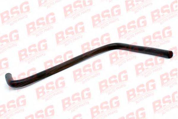 BSG 30-720-019 Шланг