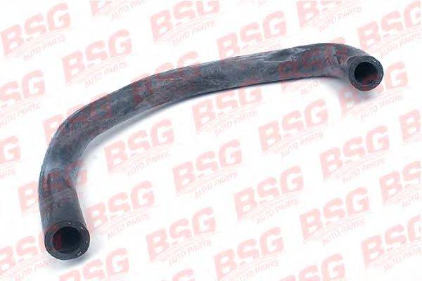 BSG 30-720-027 Масляний шланг