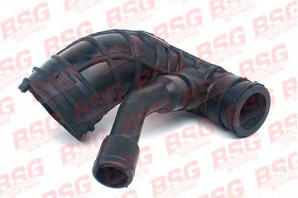 BSG 30-720-045 Шланг, система подачі повітря