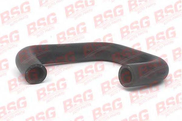 BSG 30-720-048 Шланг