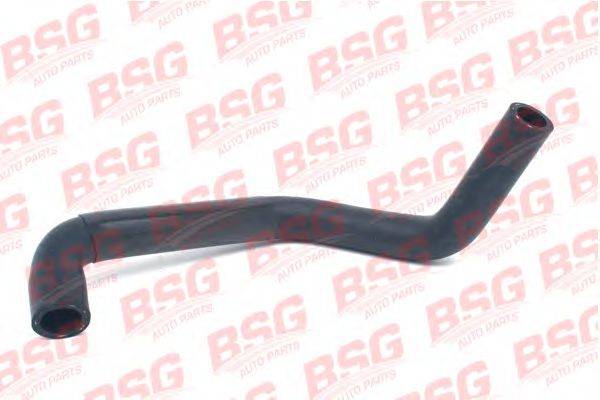 BSG 30-720-054 Гідравлічний шланг, кермо