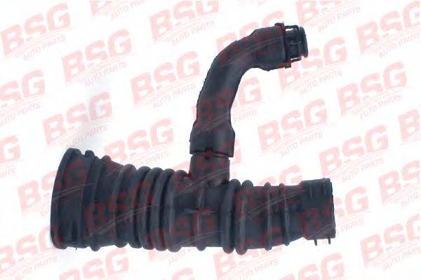 BSG BSG 30-720-063