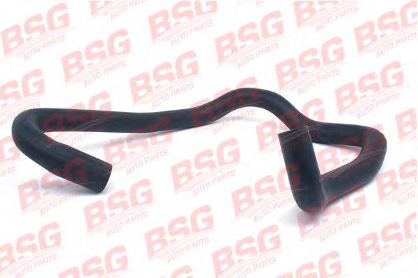 BSG BSG 30-720-066