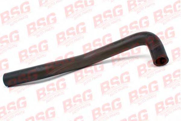 BSG 30-720-083 Шланг, теплообмінник - опалення
