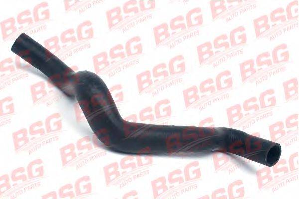 BSG BSG 30-720-095
