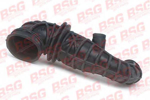 BSG BSG 30-720-097