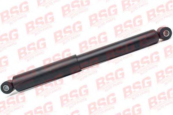 BSG BSG 60-300-018
