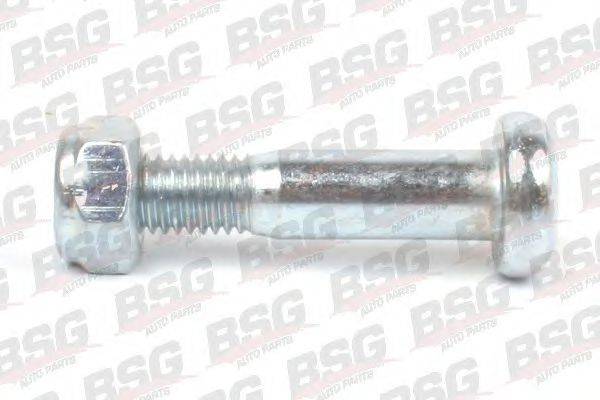BSG BSG 30-230-036