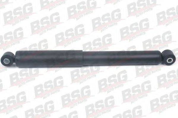BSG BSG 60-300-021