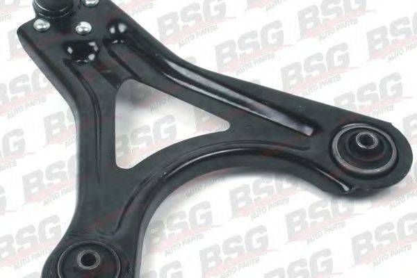 BSG BSG 30-315-003
