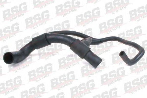 BSG BSG 30-720-033
