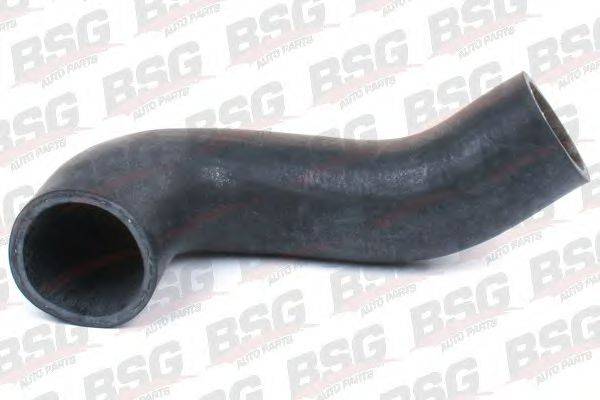 BSG BSG 30-720-098