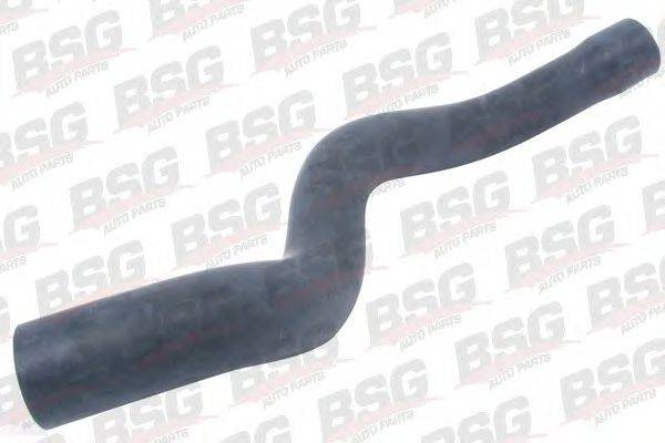 BSG BSG 65-720-021