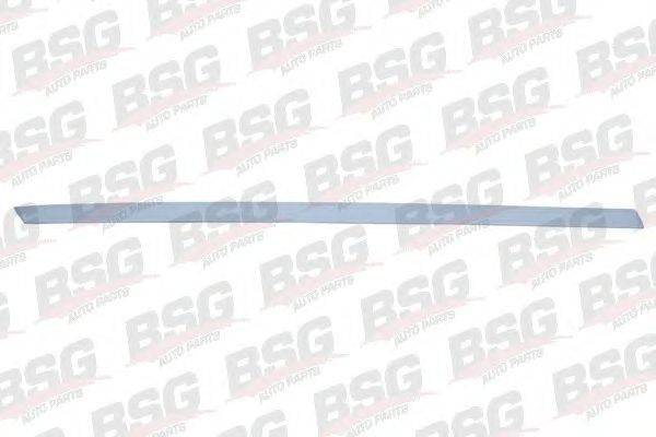 BSG BSG 65-924-009