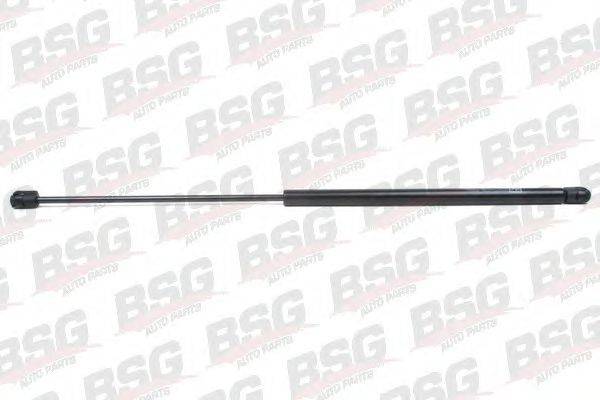 BSG BSG 65-980-003