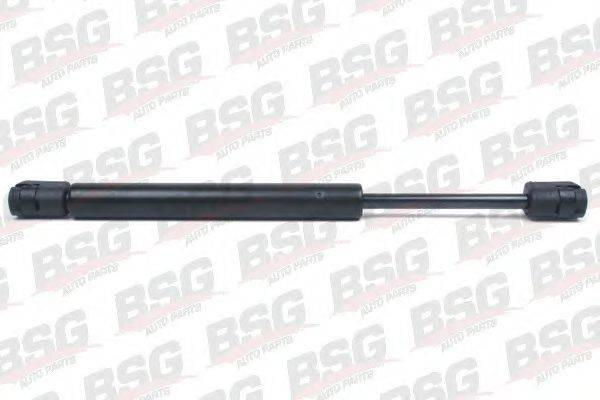 BSG BSG 65-980-007