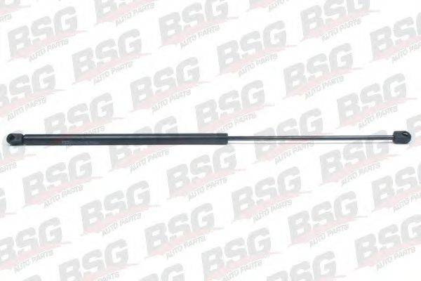 BSG BSG 65-980-008