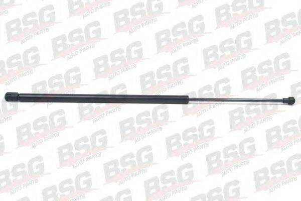 BSG BSG 65-980-009