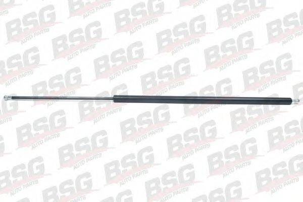 BSG BSG 65-980-011