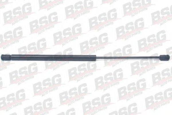 BSG BSG 70-980-011