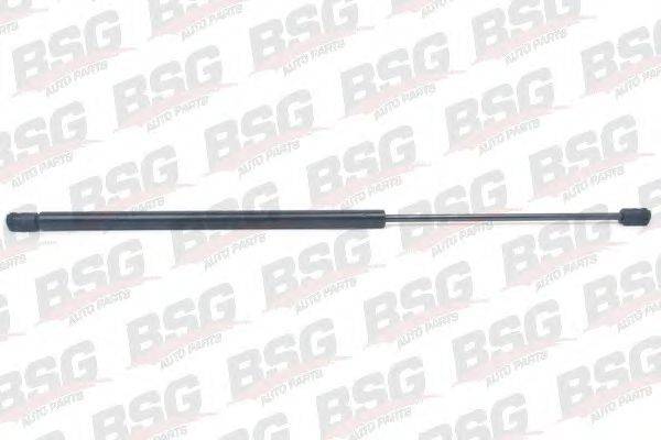 BSG BSG 70-980-013