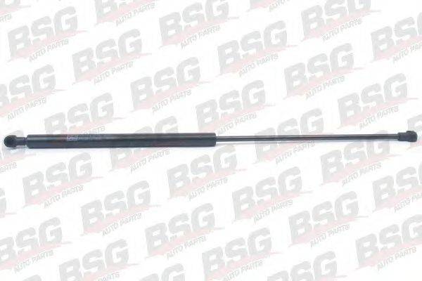 BSG BSG 70-980-019