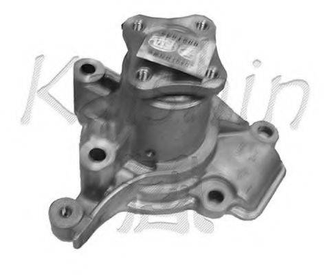 KAISHIN WPK096