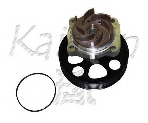 KAISHIN WPK253