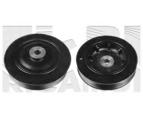 CALIBER 87318