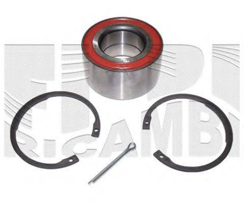 CALIBER RC4419