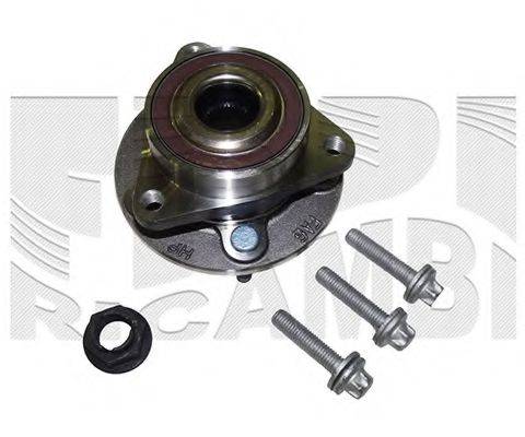 CALIBER RC4491
