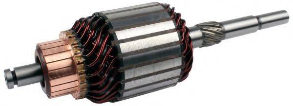 POWERMAX 1010181