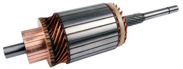 POWERMAX 1013284