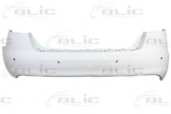 BLIC 5506-00-0031952P