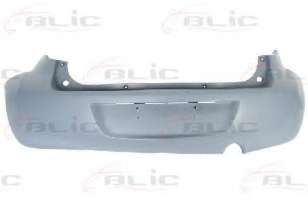 BLIC 5506-00-5033950P