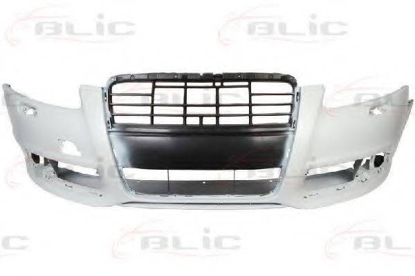 BLIC 5510-00-0031905P