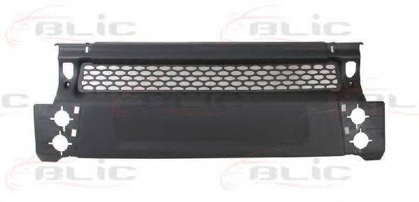 BLIC 5510-00-2509900P