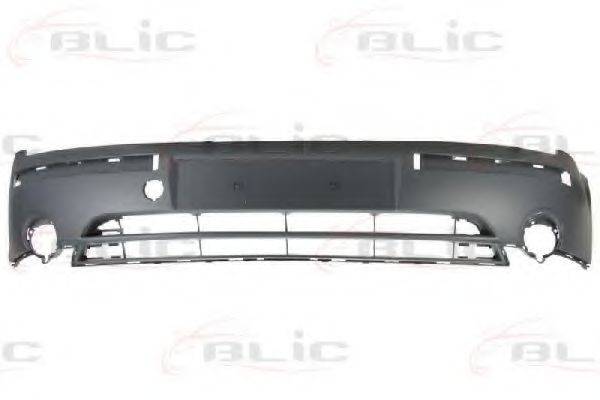 BLIC 5510-00-2555900P