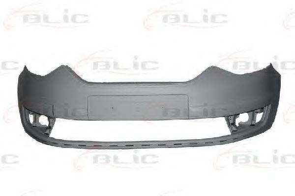 BLIC 5510-00-2584900P