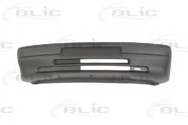 BLIC 5510-00-5502900P